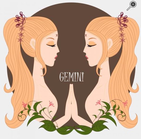 Gemini twins - google