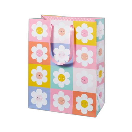 12.75x10x5 Daisy Checkers Medium Birthday Gift Bag - Spritz™