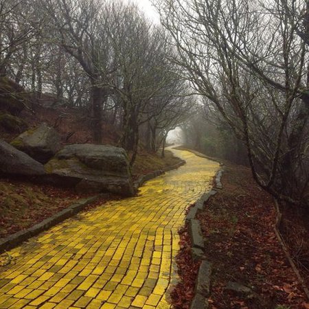 yellow brick road aesthetic oz