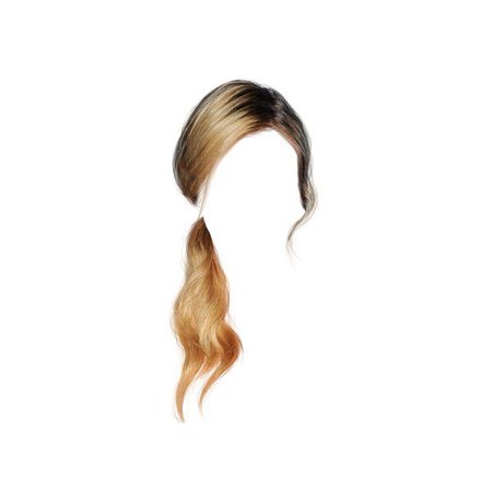 blonde ponytail hair png