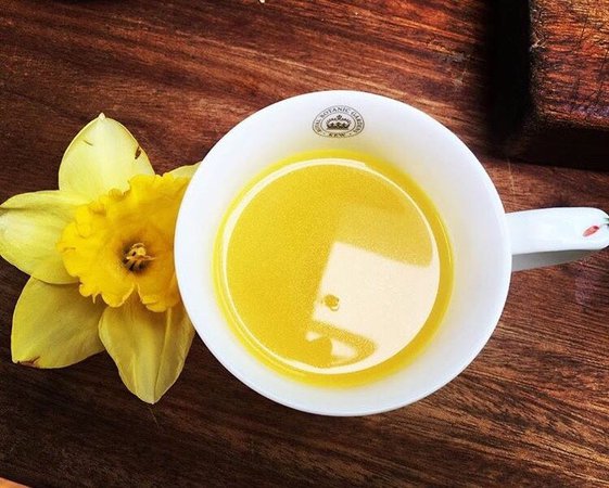 tea flower yellow aesthetic