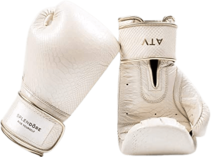 Splendore Boxing Gloves