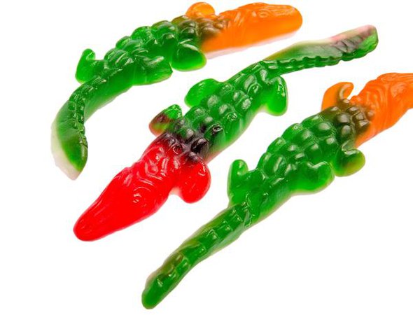 Gummy Crocodile – Candy Kitchen Shoppes