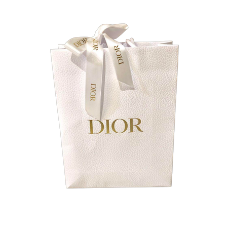 Dior paper bag (small)