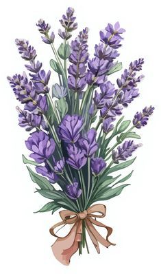 Lavender Art  (Flowers)
