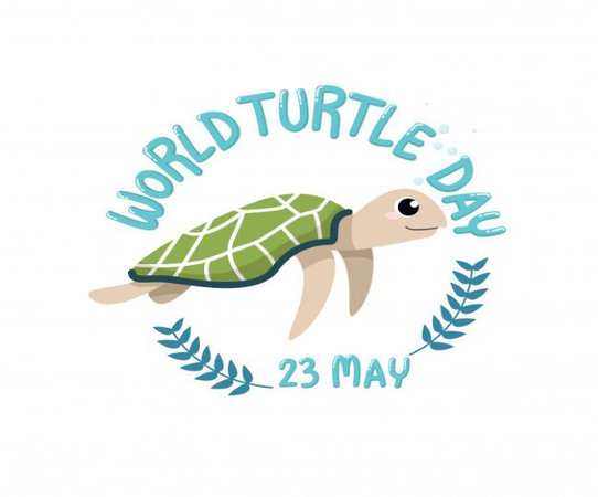 World Turtle Day 2021: 8 interesting facts about Turtles that will leave you stunned | Read Here