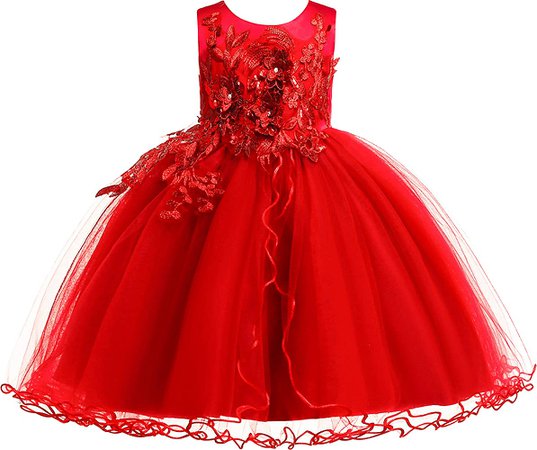 Amazon.com: Weileenice Christmas Halloween Little Girl Flower Lace Dress Kids Princess Wedding Bridesmaid Birthday Pageant Party Prom Ball Gown Toddler Vintage Tutu Tulle Dresses (Bright Red, 3-4 Years): Clothing