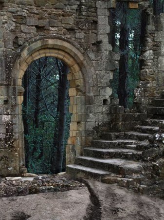 https://www.google.de/amp/s/www.pinterest.com/amp/explore/castle-ruins/ shared by ~Mariah♡~