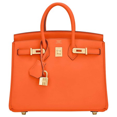 Hermes Birkin 25 Classic Hermes Orange Gold Hardware Bag RARE NEW For Sale at 1stDibs