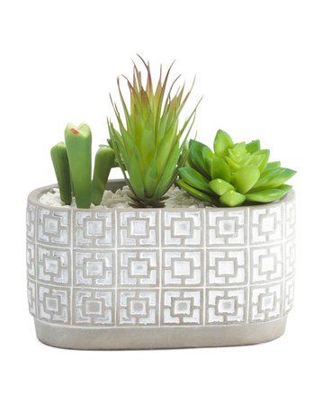 Faux Succulents In Oval Pattern Cement Pot - Living Room - T.J.Maxx