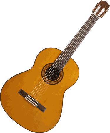 Download Acoustic Wooden Guitar Png Image HQ PNG Image | FreePNGImg