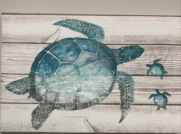 sea turtle 🐢