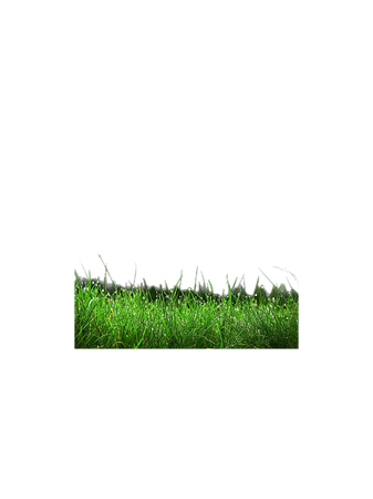 grass png background