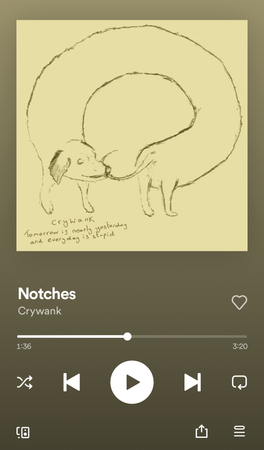 notches - crywank