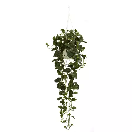 Philodendron Hanging Basket Silk Plant | Nearly Natural