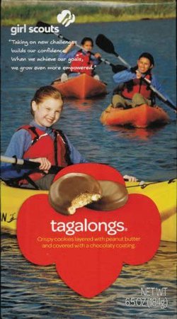 Amazon.com : Girl Scout Cookies Peanut Butter Patties (Formerly Tagalongs) ( 1- 6.5 Oz. box) : Chocolate Cookies : Grocery & Gourmet Food