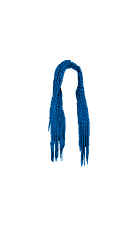 Blue Box Braids Long 1 (Dei5 edit)