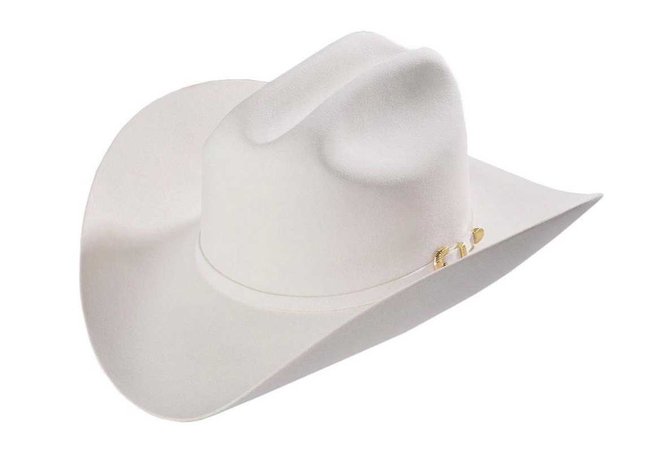 white cowgirl hat