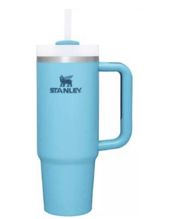 teal stanly cup