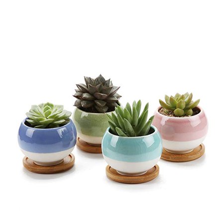 T4U 3" Ball Shape Sucuulent Cactus Plant Pots Flower Pots Planters Containers Window Boxes with Bamboo Tray Blue, Set of 2: Amazon.ca: Patio, Lawn & Garden