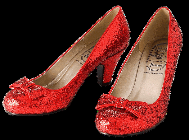 Ruby slippers - Google Search