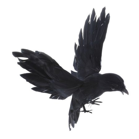 Artificial Flying Crow Black Bird Garden Decor Halloween Decoration Props | eBay