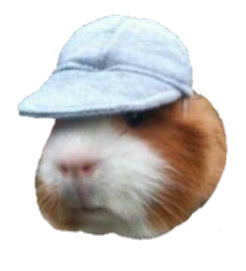 guinea pig hat