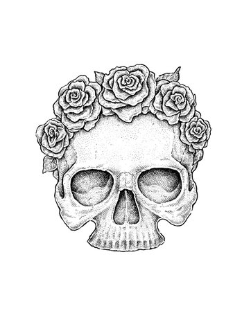 Skull and Roses Drawing