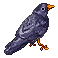 Crow Pixel by HypocriticOaf on DeviantArt