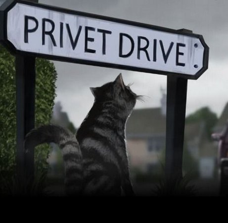 Privet Drive | Pottermore | Harry Potter