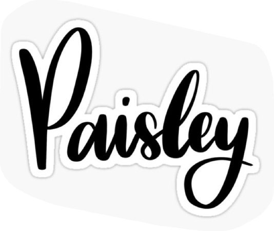 Paisley name