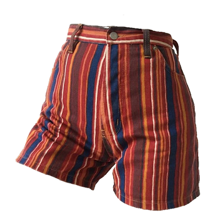 aesthetic clothes png retro shorts