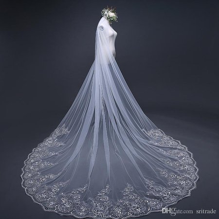 long simple veil wedding - Google Search