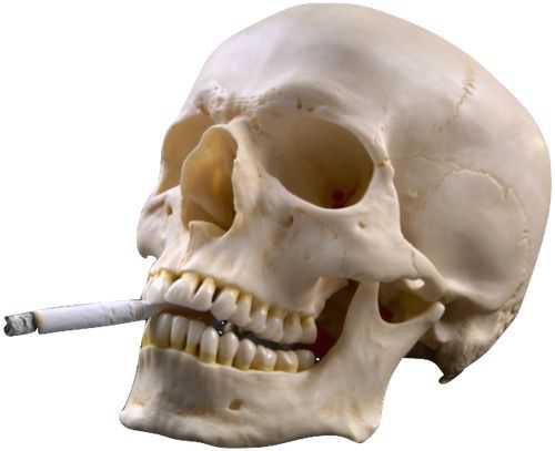 smoking skull