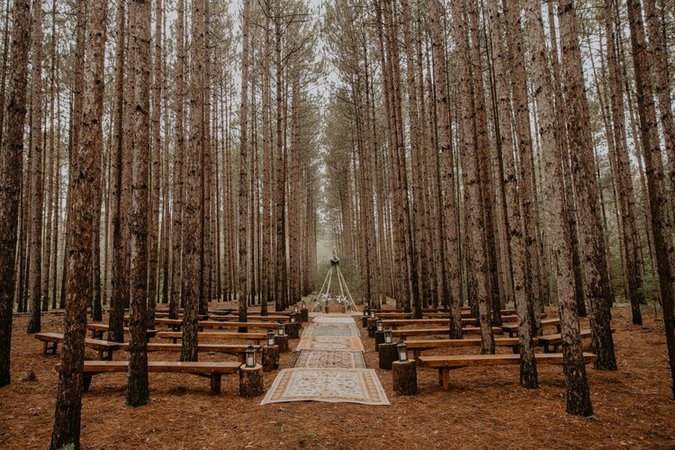 forest wedding – Google Kereső