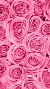 pink and dark pink flower aesthetic - Google Search