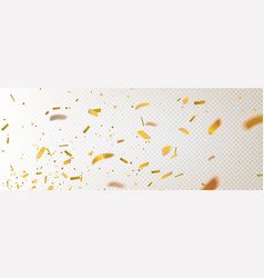 Glitter confetti gold glitter falling on Vector Image
