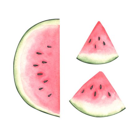 Vector Watercolor Illustration Of Watermelon Slice Stock Illustration - Download Image Now - iStock