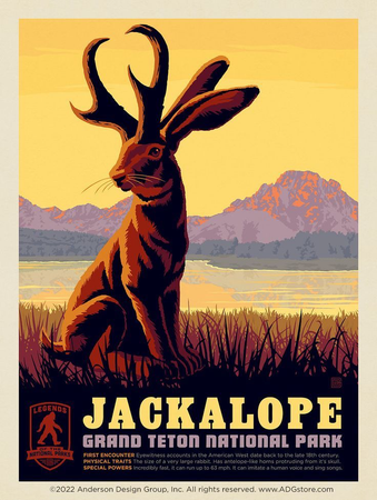 jackalope poster