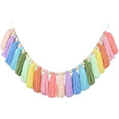 Amazon.com: DrCor Pastel Rainbow Tassel Garland Colorful Banner for Easter Spring Fiesta Girls Bedroom Wall Classroom Window Nursery Room Party Baby Shower Decor : Home & Kitchen