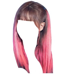 Brown Hair with Pink Tips PNG