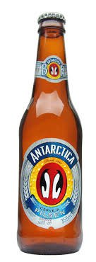 brazilian beer antarctica - Google Search