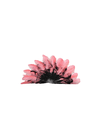 feather fan pink black burlesque dance