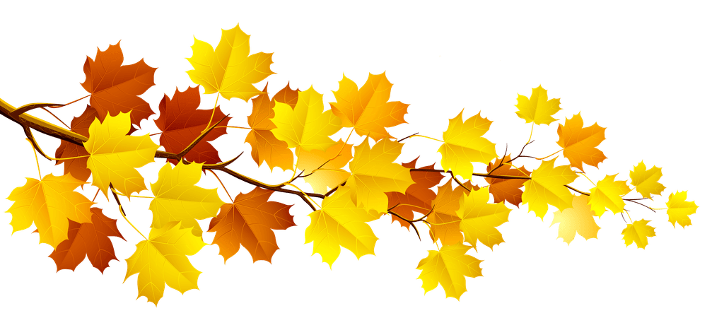 Autumn Leaves Clipart