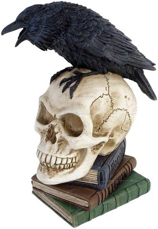 Alchemy of England Hand Painted Poe's Raven Statue Human Skull Poetry Books: Amazon.ca: Home & Kitchen