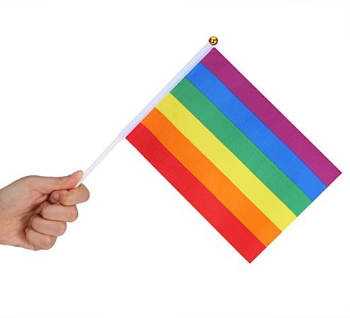 BBTO 20 Piezas de Bandera de Arco Iris de Orgullo de Gay Bandera de LGBT Paz Lesbian para Orgullo Festival Carnival: Amazon.es: Juguetes y juegos