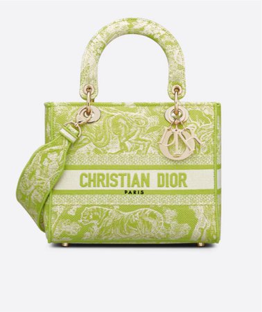 lady dior bag