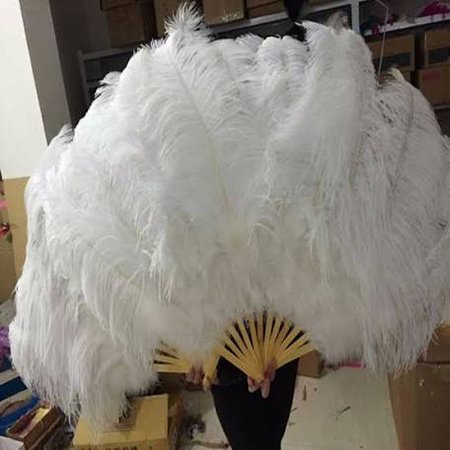 burlesque feathers - Google Search