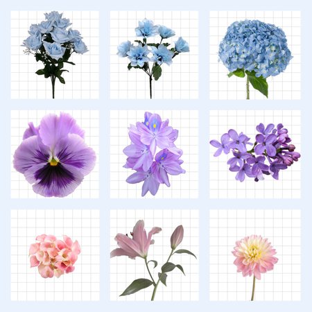 — novice-heartbreaker: ☆ floral aesthetic boards ☆