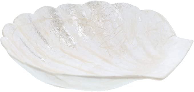 Amazon.com: Li'Shay Capiz Dish Scalloped Clam Shape Oyster Shell Trinket Jewelry Tray - Ivory: Home & Kitchen